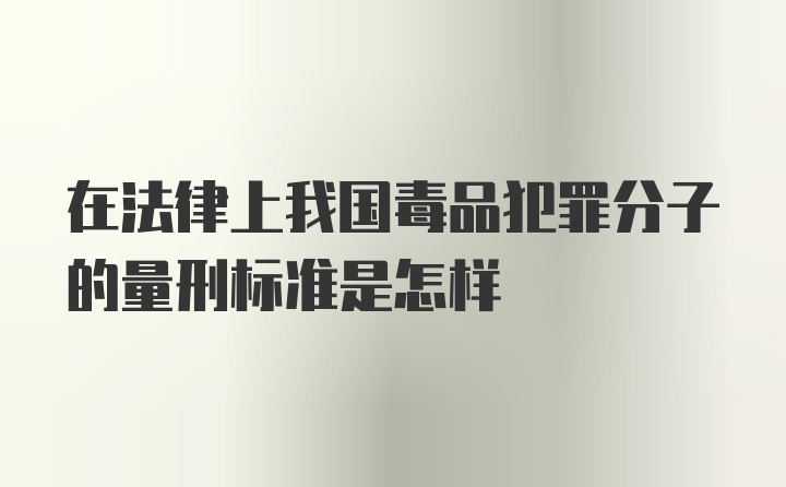 在法律上我国毒品犯罪分子的量刑标准是怎样