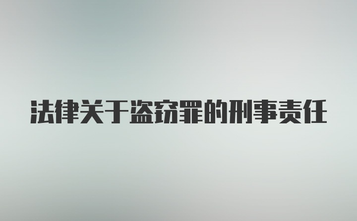 法律关于盗窃罪的刑事责任