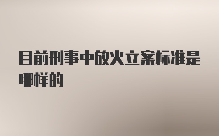 目前刑事中放火立案标准是哪样的