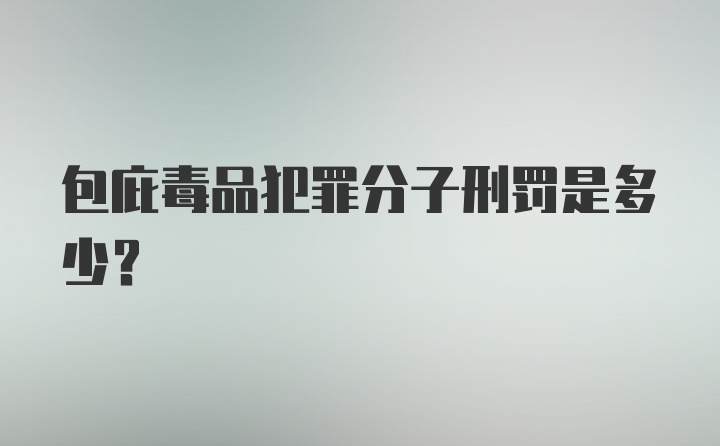 包庇毒品犯罪分子刑罚是多少？