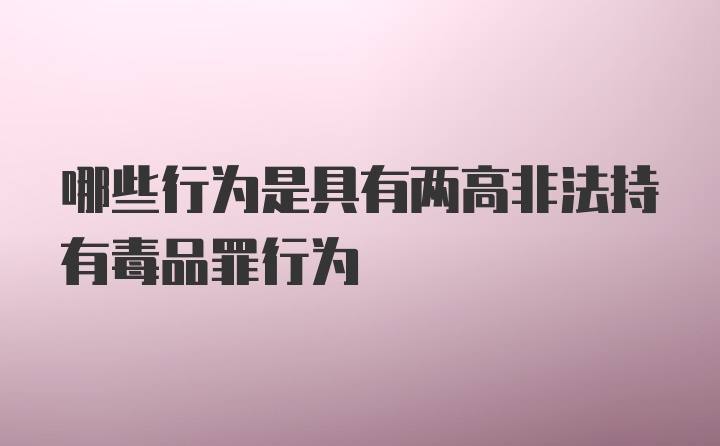 哪些行为是具有两高非法持有毒品罪行为