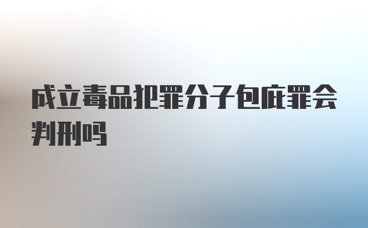 成立毒品犯罪分子包庇罪会判刑吗