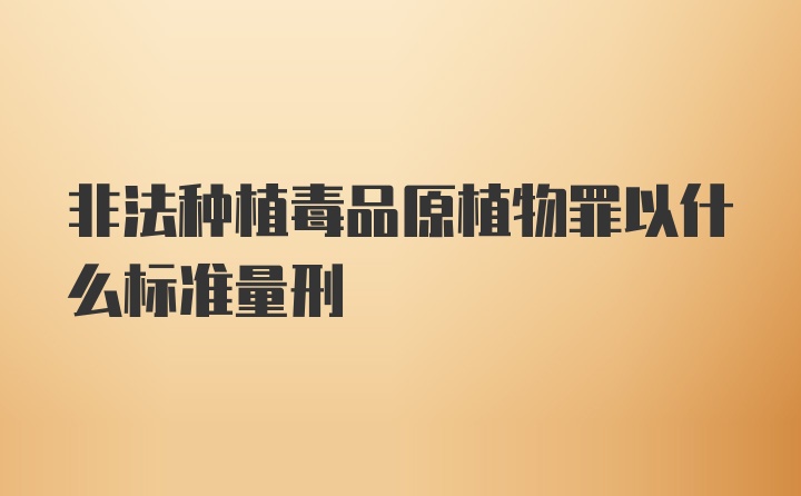 非法种植毒品原植物罪以什么标准量刑