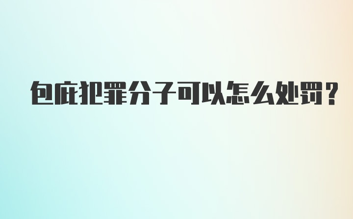 包庇犯罪分子可以怎么处罚？