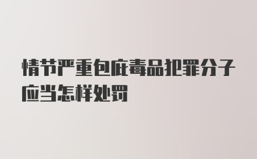 情节严重包庇毒品犯罪分子应当怎样处罚