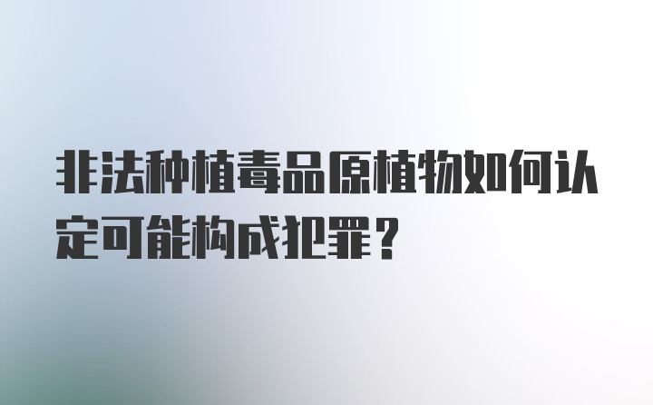 非法种植毒品原植物如何认定可能构成犯罪？