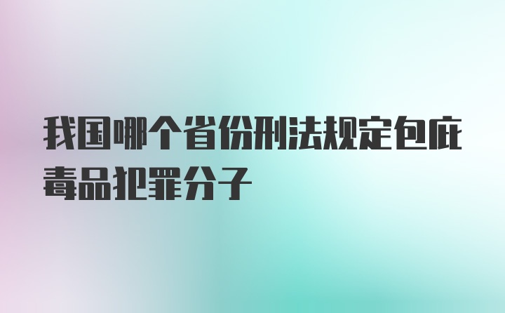 我国哪个省份刑法规定包庇毒品犯罪分子