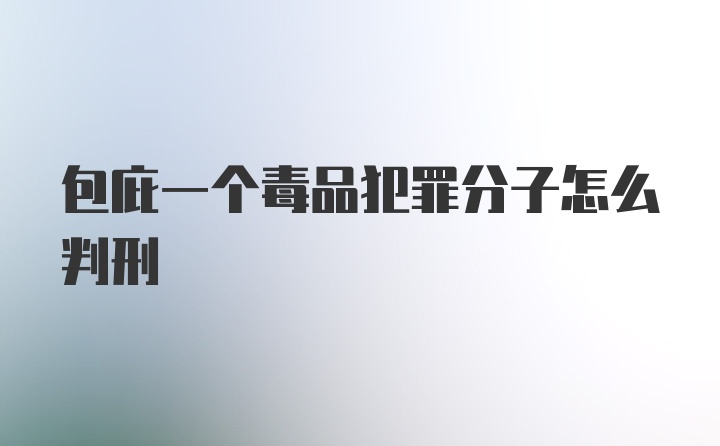 包庇一个毒品犯罪分子怎么判刑