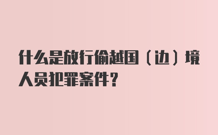 什么是放行偷越国（边）境人员犯罪案件？