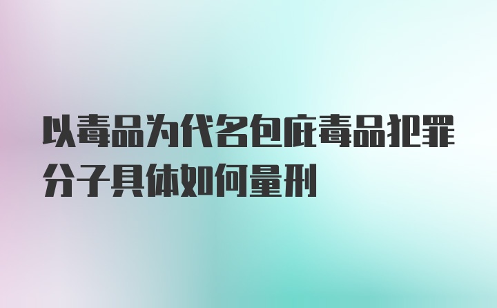 以毒品为代名包庇毒品犯罪分子具体如何量刑