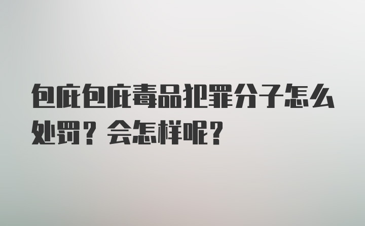 包庇包庇毒品犯罪分子怎么处罚？会怎样呢？