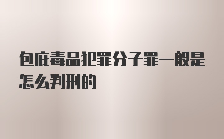 包庇毒品犯罪分子罪一般是怎么判刑的