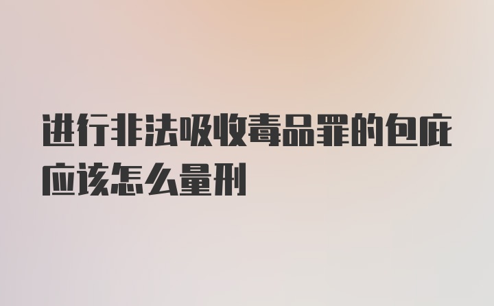 进行非法吸收毒品罪的包庇应该怎么量刑