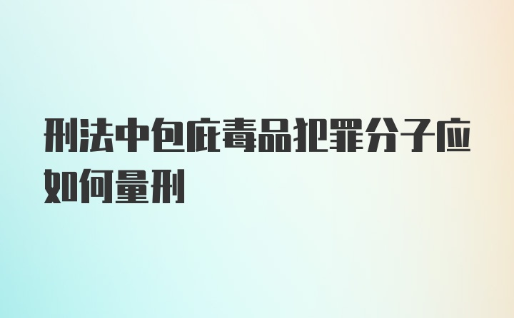 刑法中包庇毒品犯罪分子应如何量刑