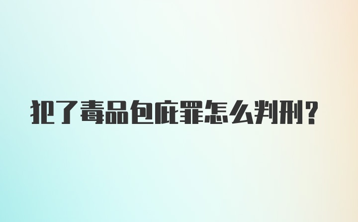 犯了毒品包庇罪怎么判刑？