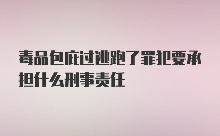 毒品包庇过逃跑了罪犯要承担什么刑事责任