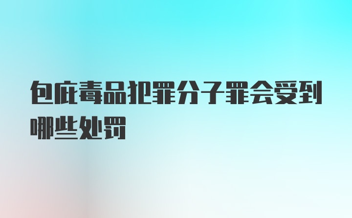 包庇毒品犯罪分子罪会受到哪些处罚