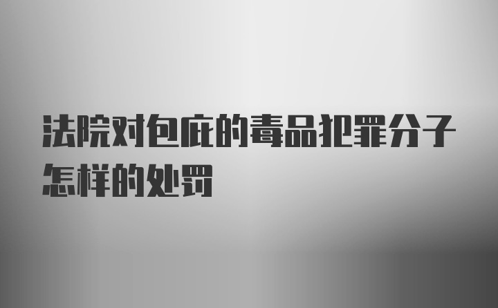 法院对包庇的毒品犯罪分子怎样的处罚