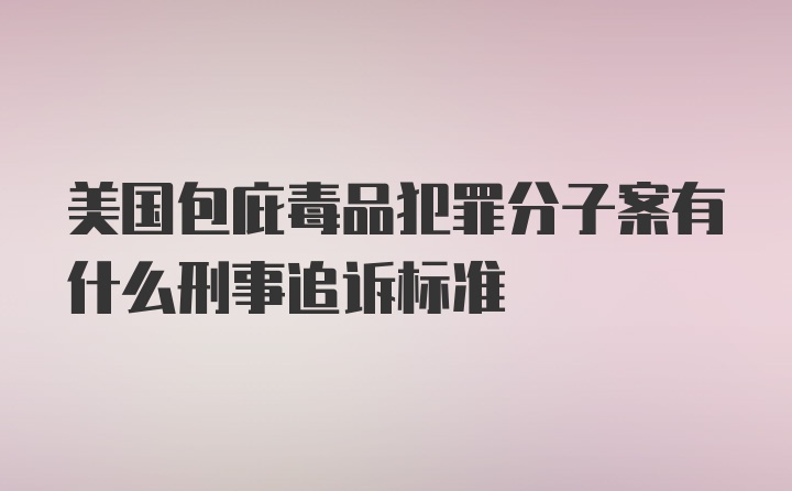 美国包庇毒品犯罪分子案有什么刑事追诉标准