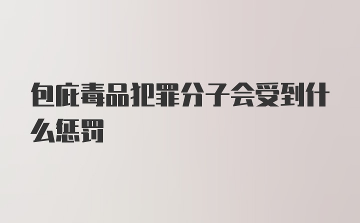 包庇毒品犯罪分子会受到什么惩罚