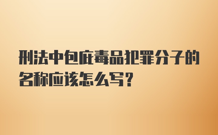 刑法中包庇毒品犯罪分子的名称应该怎么写?