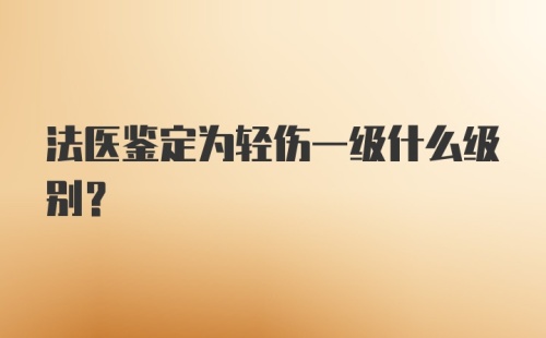 法医鉴定为轻伤一级什么级别？