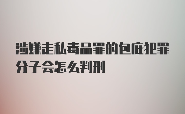 涉嫌走私毒品罪的包庇犯罪分子会怎么判刑