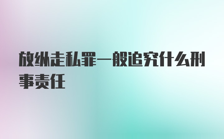 放纵走私罪一般追究什么刑事责任