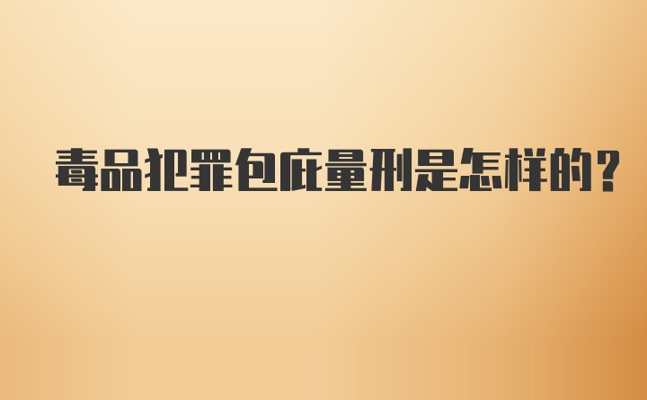 毒品犯罪包庇量刑是怎样的？