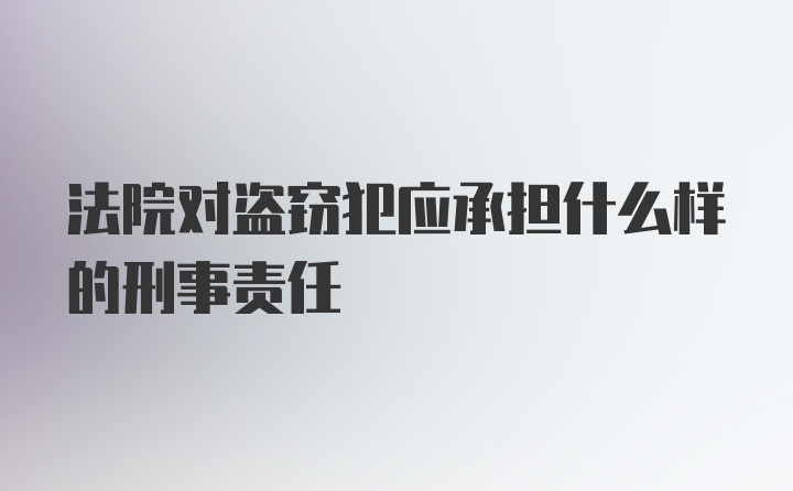 法院对盗窃犯应承担什么样的刑事责任