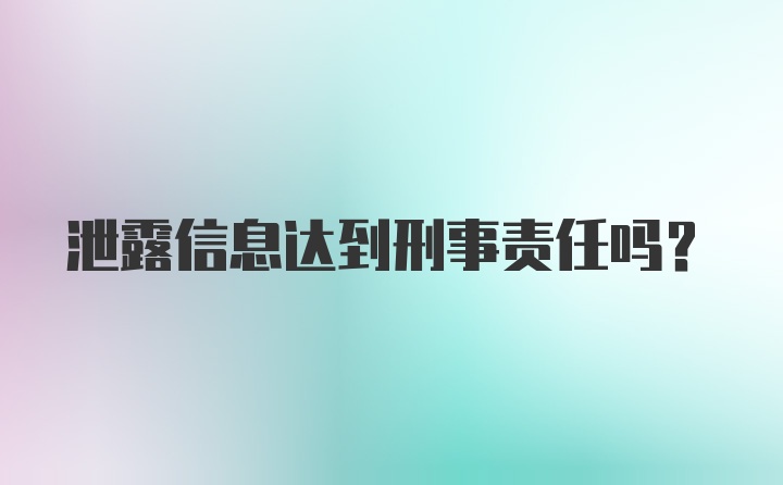 泄露信息达到刑事责任吗？