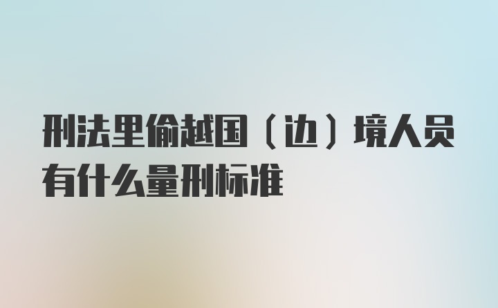 刑法里偷越国（边）境人员有什么量刑标准