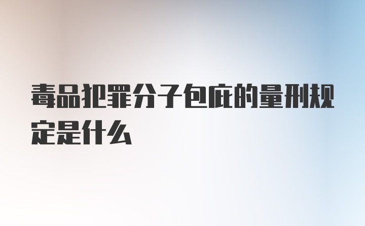 毒品犯罪分子包庇的量刑规定是什么