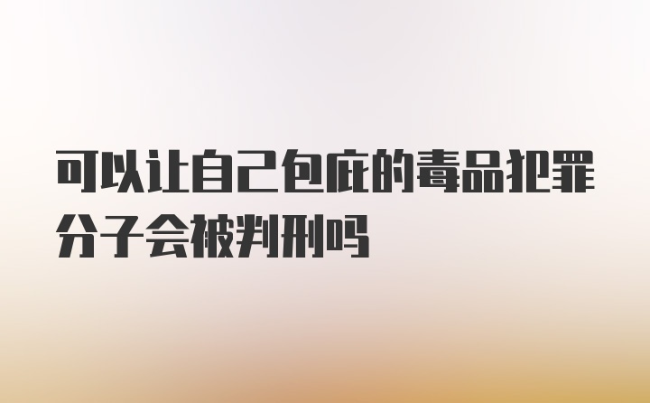 可以让自己包庇的毒品犯罪分子会被判刑吗