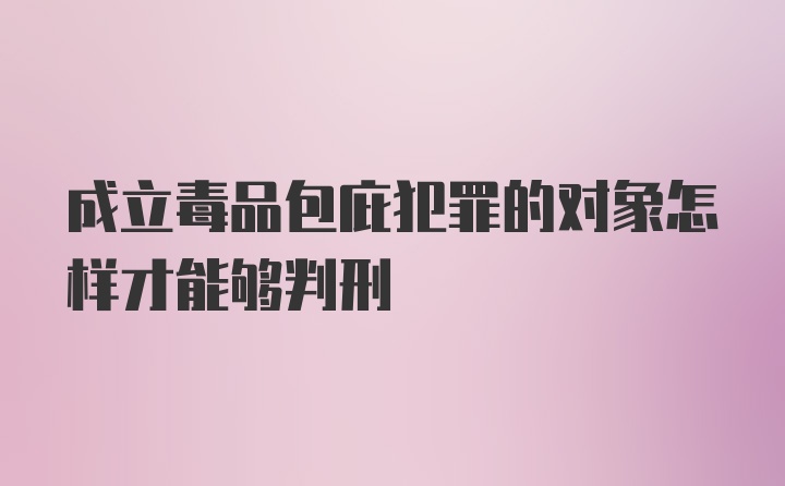 成立毒品包庇犯罪的对象怎样才能够判刑