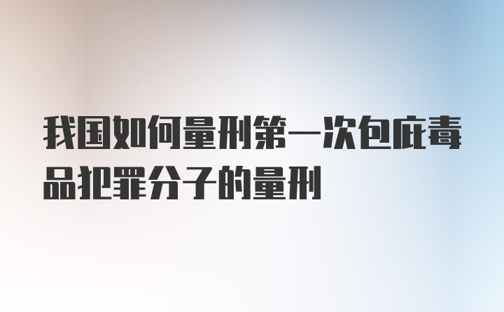 我国如何量刑第一次包庇毒品犯罪分子的量刑