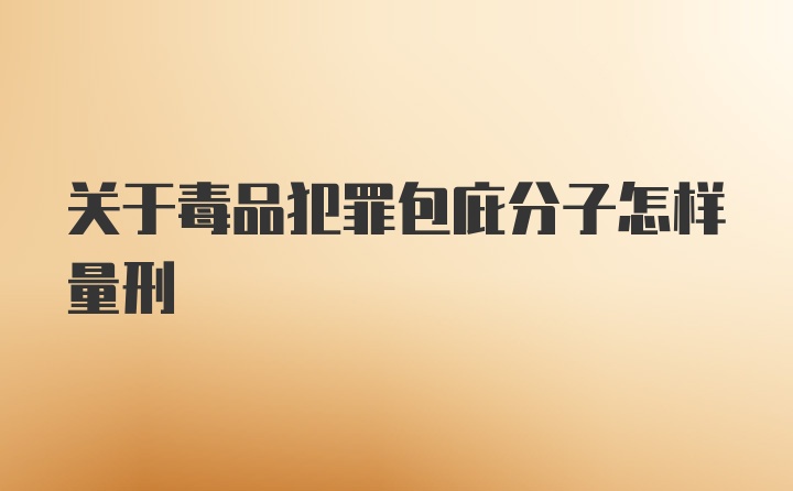 关于毒品犯罪包庇分子怎样量刑