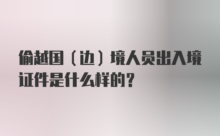 偷越国（边）境人员出入境证件是什么样的？