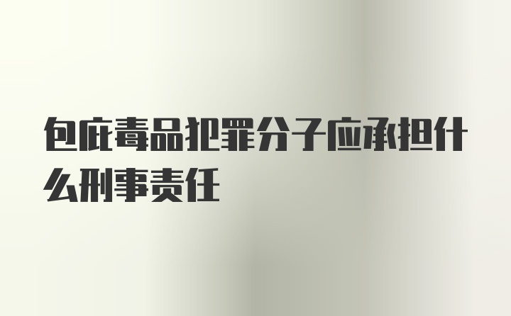 包庇毒品犯罪分子应承担什么刑事责任