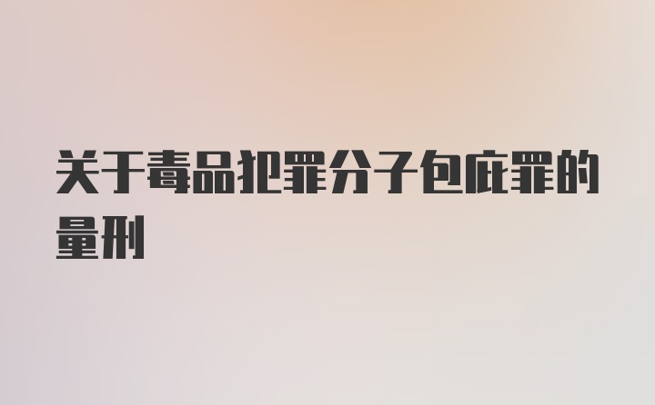 关于毒品犯罪分子包庇罪的量刑