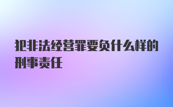 犯非法经营罪要负什么样的刑事责任