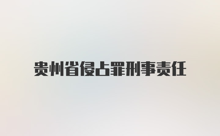 贵州省侵占罪刑事责任