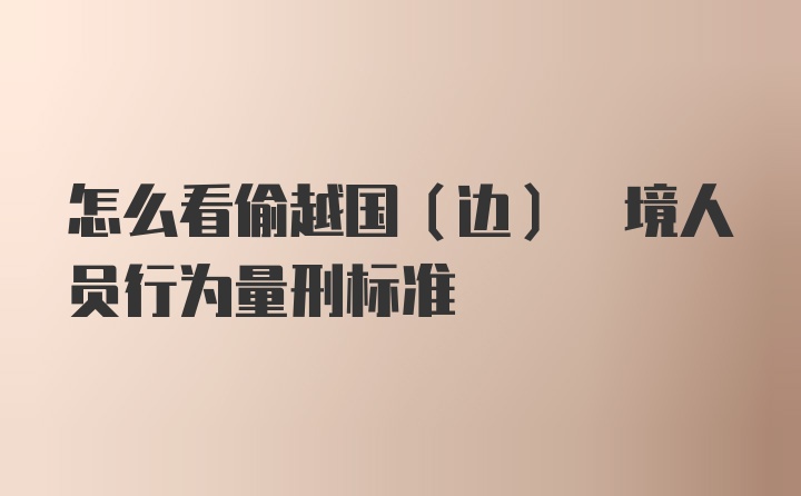 怎么看偷越国(边) 境人员行为量刑标准