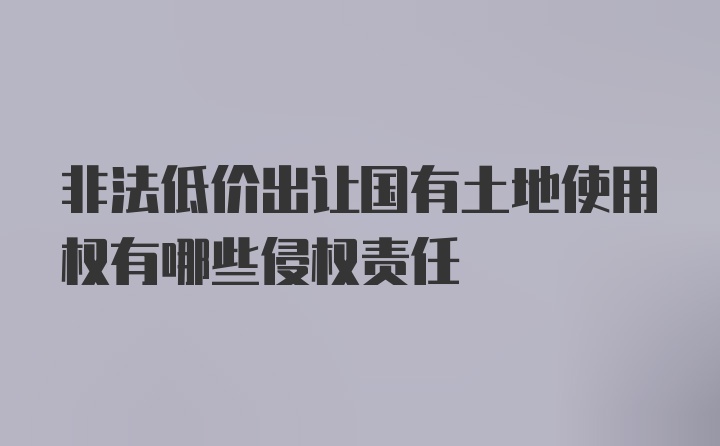 非法低价出让国有土地使用权有哪些侵权责任