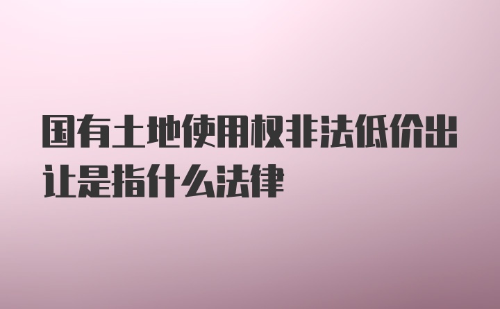 国有土地使用权非法低价出让是指什么法律