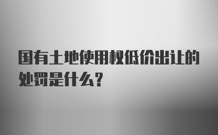 国有土地使用权低价出让的处罚是什么？