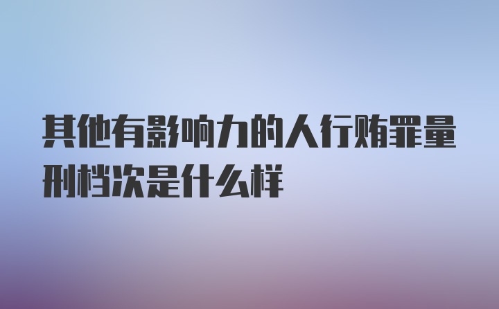 其他有影响力的人行贿罪量刑档次是什么样