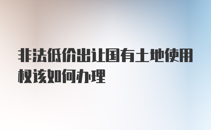 非法低价出让国有土地使用权该如何办理