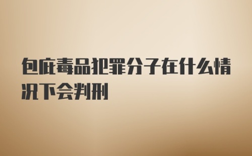 包庇毒品犯罪分子在什么情况下会判刑