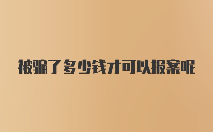 被骗了多少钱才可以报案呢